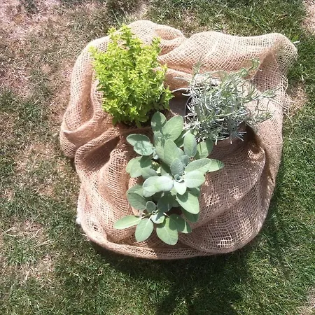 Nocleg ze śniadaniem Il Casale Del Giglio Santo Stefano di Magra