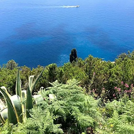 Il Casale Del Giglio 4*
